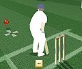 Cricket - Easy Mode