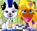 Pet Fashion Contest