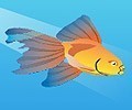 Aquarium Life