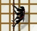 Climbing Ninja