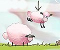 Home Sheep Home