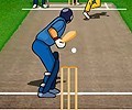 Cricket Championship 2008