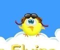 Chicken's Flying School