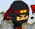 Ninja Master