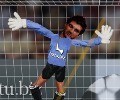 Ragdoll Goalie