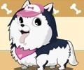 Cute Dog Contest