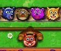 Funny Animals