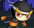 Ninja Stealth