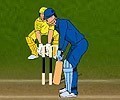 Online Cricket 2011