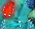 Zippy Fish