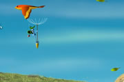A Bugs Life