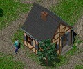 Hogamany Game