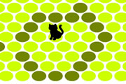 Black Cat