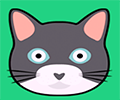 CatMouse io