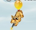 Balloon Cat