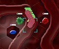Cellular Defense
