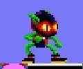 Zool