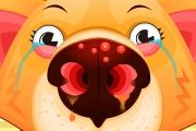 Doctor Pet Nose