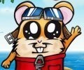 Stunt Hamster