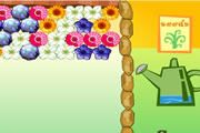 Flower Power