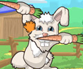Furry Fighter