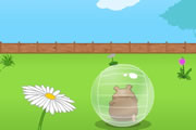 Harry the Hamster 3