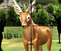 Hunter 3D