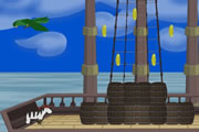 Pirate Zebra