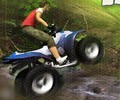 Jungle ATV