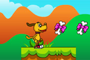  Little Dog Adventure
