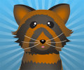 Pets Makeover