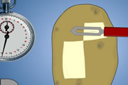 Potato