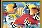 Puzzle Mania Fishes