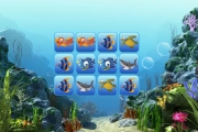 Sea Animals
