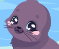 Seal Care