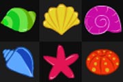 Shell Zone