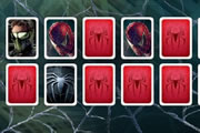 Spider-man Memory Match