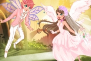 The Fairy Bride