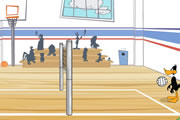 Tricky Duck Volleyball