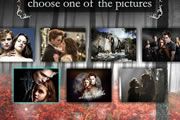 Twilight Puzzle