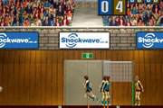 Volleyball